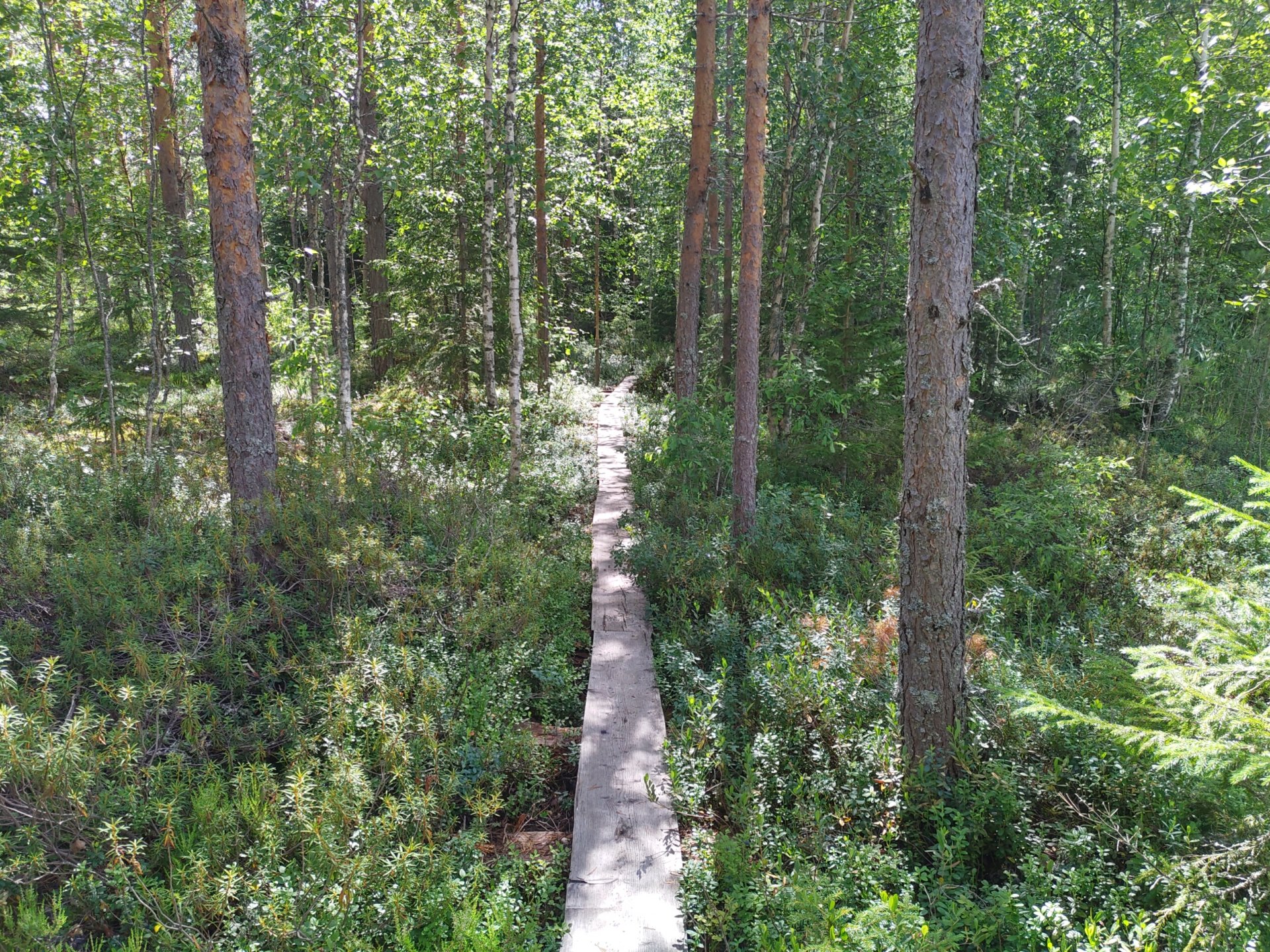 Nature Trail